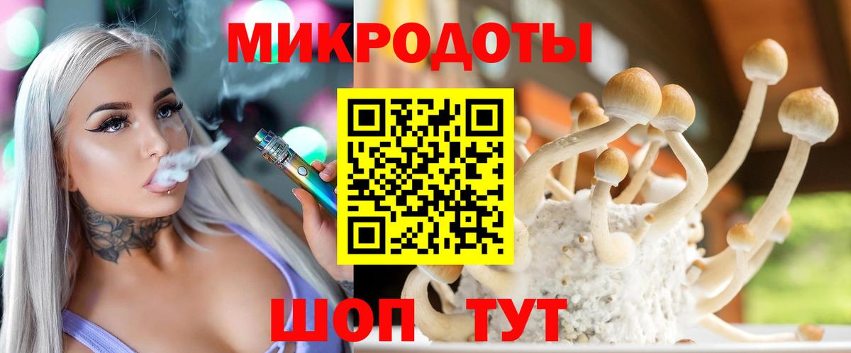 Галлюциногенные грибы MAGIC MUSHROOMS  Вход с VPN  Урус-Мартан 