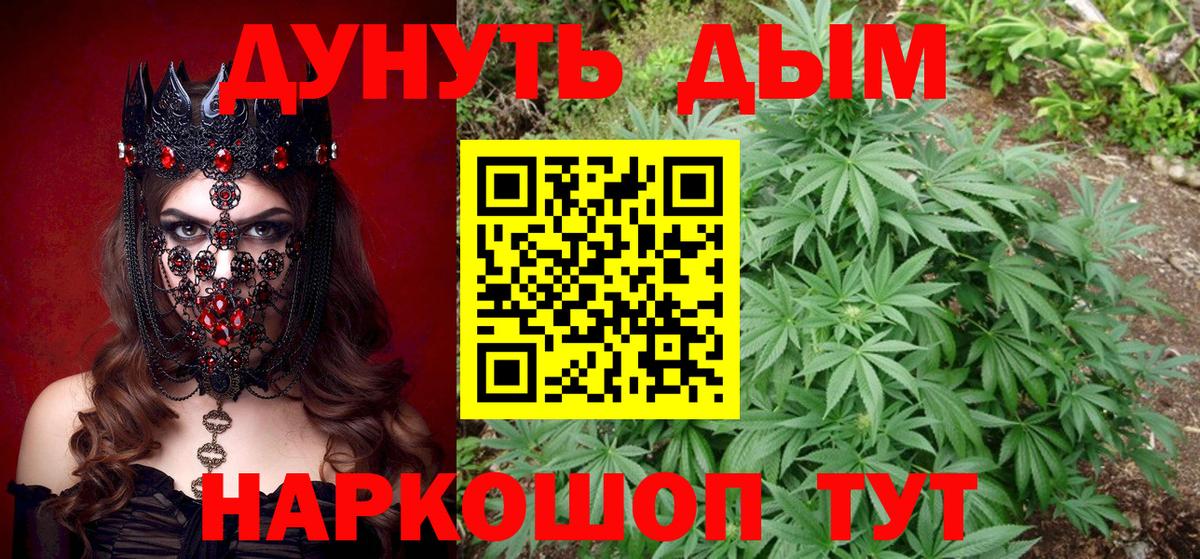 Каннабис семена Урус-Мартан